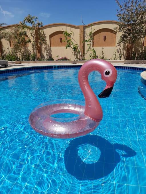 Vilă Golden Oasis Luxurious Private With Pool *