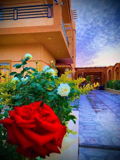 Golden Oasis Luxurious Private With Pool Vilă Hurghada